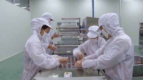 十三五 成就巡礼 播州区 建立多元化市场营销体系 做强做大绿色食品工业